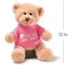 Bear with Pink T-Shirt Gift Review