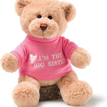 Bear with Pink T-Shirt Gift Review