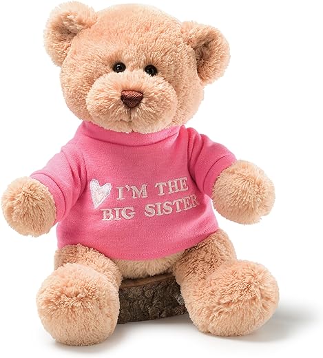 Bear with Pink T-Shirt Gift Review