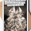 Funny Sister Birthday Card Gift Review