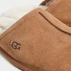 UGG Men's Scuff Slipper Gift Review