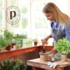 9 Herb Indoor Window Garden Kit Gift Review