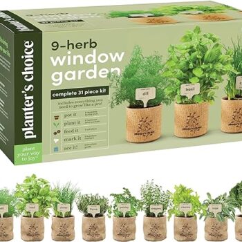 9 Herb Indoor Window Garden Kit Gift Review