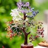 Crystal Bonsai Fortune Money Tree Gift Review