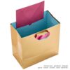 Bag with Tissue Paper Gift Review