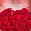 16 Fresh Forever Roses in Heart Box Girft Review