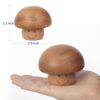 Wood Antique Small Music Box Gift Review