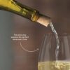 Corkcicle Air Wine Bottle Chiller Gift Review
