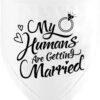 Getting Married Dog Bandana Gift Review