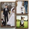 Getting Married Dog Bandana Gift Review
