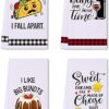 Funny Kitchen Towels Set Gift Review