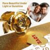 Gold Rose Romantic Gift Review