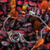 Phoenix Bracelet with Crystals Gift Review