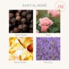 Sandalwood Rose Candle Gift Review