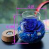 Roses with Colorful Mood Light Bottle Gift Review