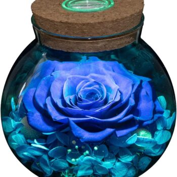 Roses with Colorful Mood Light Bottle Gift Review