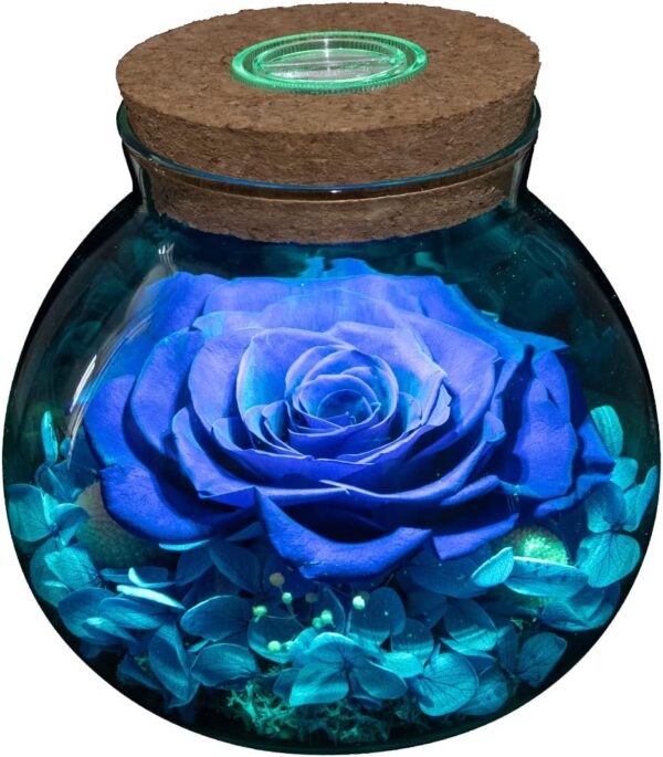 Roses with Colorful Mood Light Bottle Gift Review