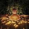 Outdoor Hanging Butterfly Decor Gift Review