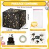 Money Box for Cash Pull Gift Review