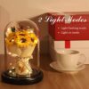 Dream Sunflower Rose Gift Review