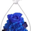 Scorpio Rose Gift Review
