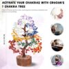 Feng Shui Decor Gift Review