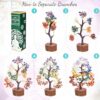 Feng Shui Decor Gift Review