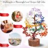 Feng Shui Decor Gift Review