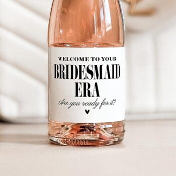 Mini Champagne Labels Gift Review