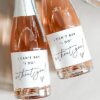 Bridesmaid Proposal Mini Champagne Gift Review