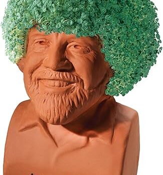 Chia Pet Bob Ross with Seed Pack Gift Review