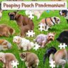 101 Pooping Puppies Puzzle Gift Review