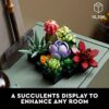 Succulents Artificial Plant Set Gift Review