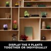 Succulents Artificial Plant Set Gift Review