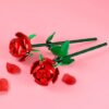 Botanical Collection Set Gift Review