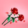 Botanical Collection Set Gift Review