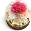 Roses Flowers for Delivery Prime Gift Review