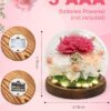 Roses Flowers for Delivery Prime Gift Review