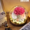 Roses Flowers for Delivery Prime Gift Review