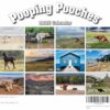 White Elephant Gag Calendar Gift Review