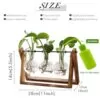 Wooden Stand Plant Terrarium Gift Review