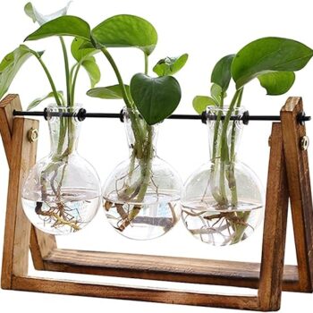 Wooden Stand Plant Terrarium Gift Review