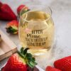 Funny Stemless Wine Glass Gift Review