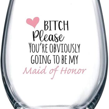 Funny Stemless Wine Glass Gift Review