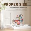 Butterfly Inspirational Gift Review