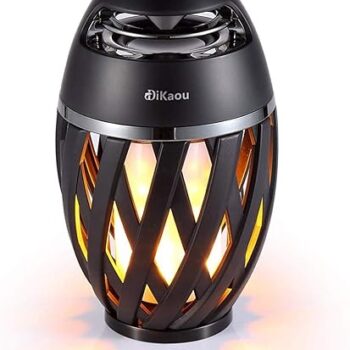 Wireless Speaker Waterproof Gift Review
